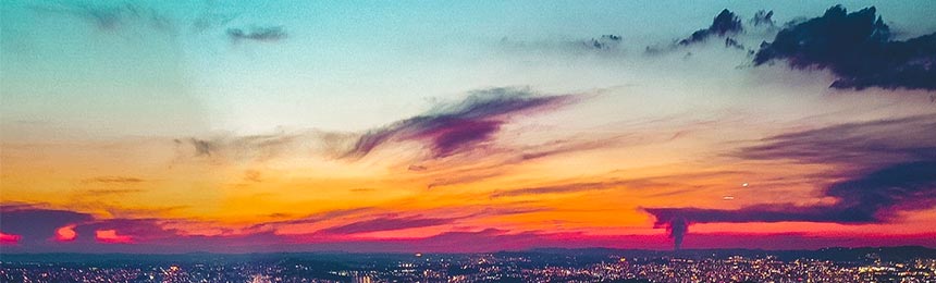 上海茶虫网_上海品茶